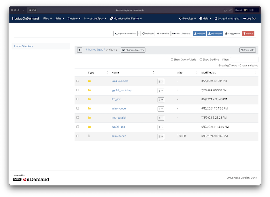 Open OnDemand file browser example