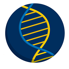 DNA double helix