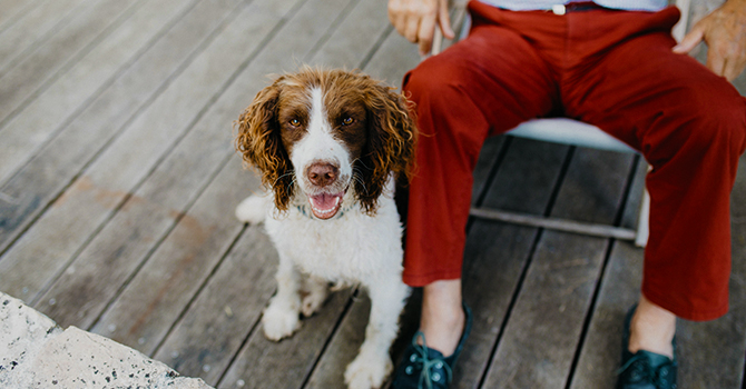 elderly man and dog