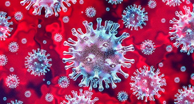 An image of a coronavirus