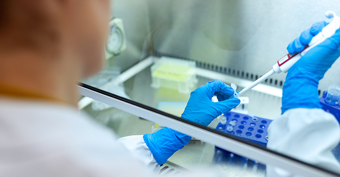 Scientist working in a laboratory with gloves.