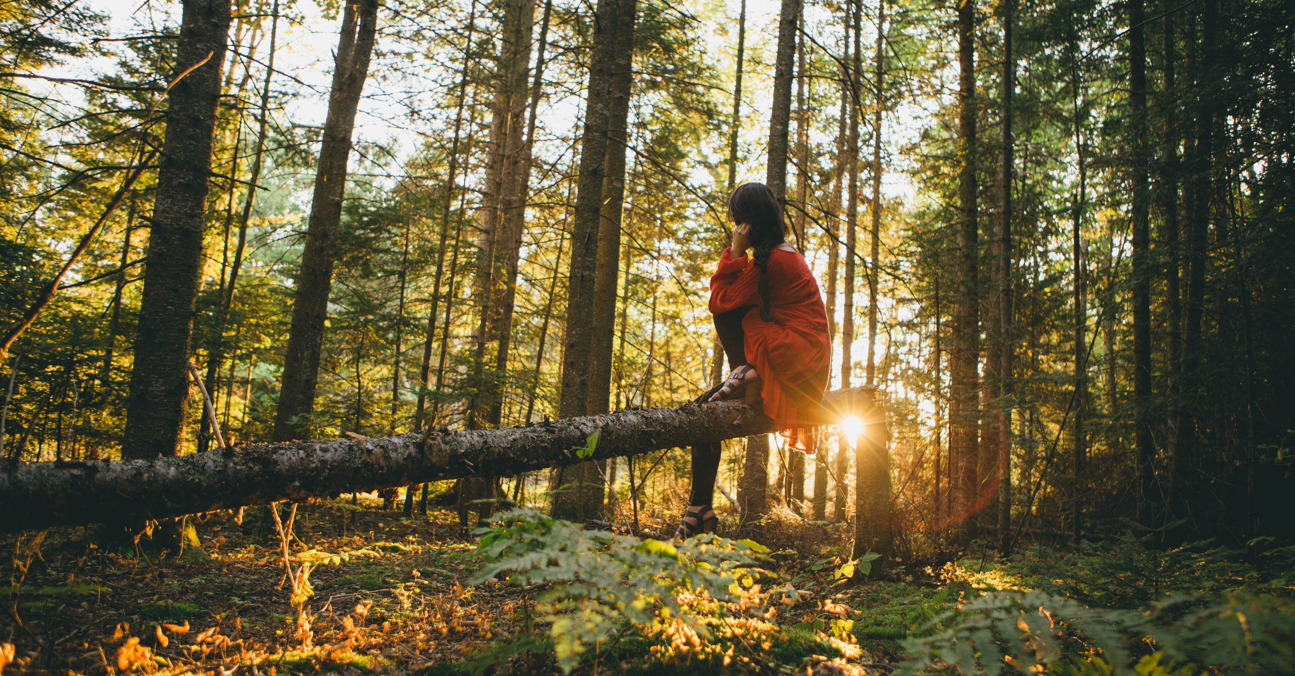 A young woman sitting on a fallen tree branch in a forest