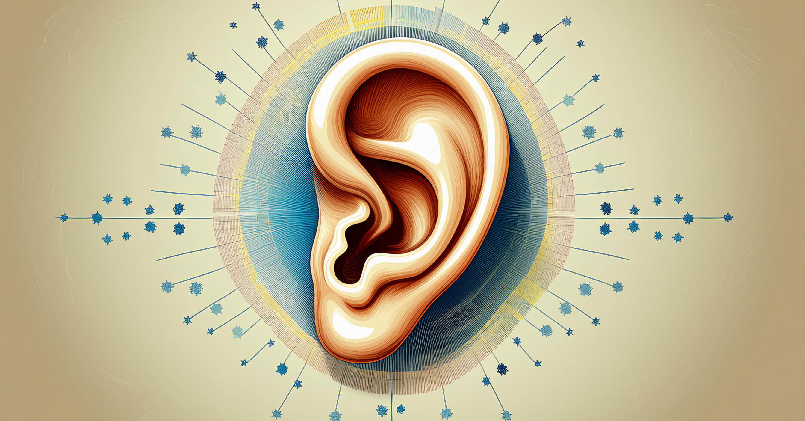 Illustration of an ear.